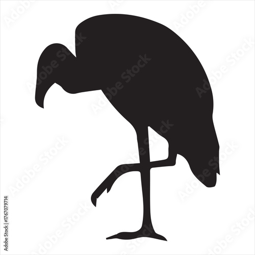 Vulture sheet silhouette vector with white background