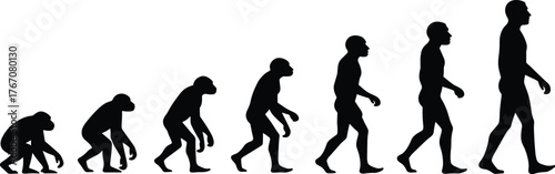 Human Evolution Silhouette Sequence- Primate to Modern Man Depicting Biological Transformation, Upright Posture Development, and Evolutionary Timeline Visualization