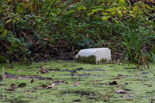 Environmental pollution: a plastic container (jerrycan) partially submerged in a ditch, surrounded by green reeds and autumn leaves. Detailed close-up of trash in nature.