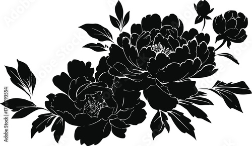 Peony flowers sketch hand drawn black silhouette with leaves and buds — stock vector