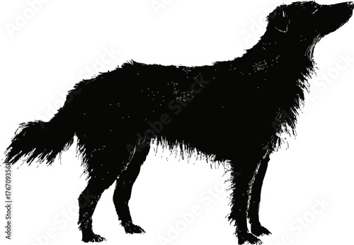 Dog silhouette sketch, hand drawn style, standing side view with shaggy fur — stock vector