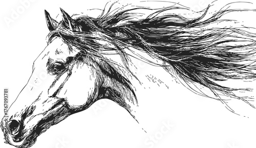 Horse head sketch, hand drawn style with flowing mane, dynamic black line art — stock vector