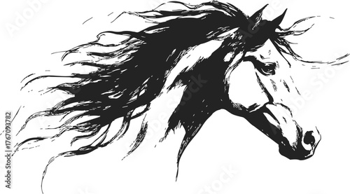 Horse head sketch hand drawn with flowing mane, dynamic black and white art — stock vector