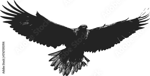 Black eagle sketch hand drawn with wings spread in flight — stock vector
