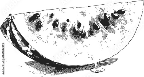 Watermelon slice sketch, hand drawn style with seeds and rind detail — stock vector