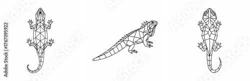 Iguana geometric art, white background, isolated, vector, set