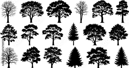 Set of detailed black tree silhouettes, various deciduous and coniferous tree shapes, isolated vector icons for forest, nature, and landscape design.black colored with white background