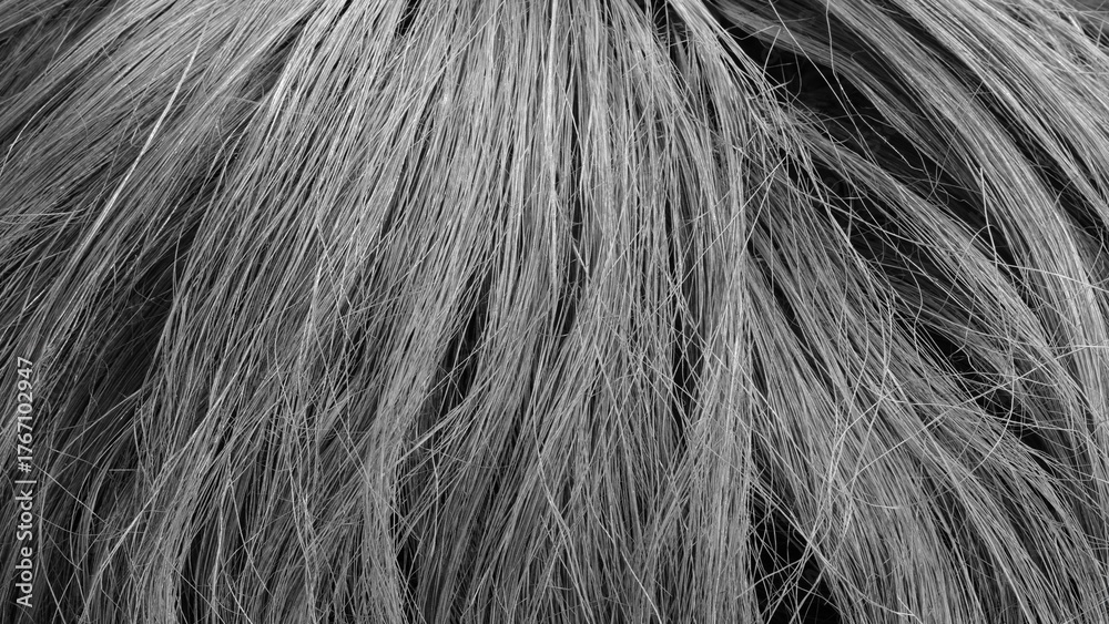 Fototapeta premium A close-up of richly textured hair. The hair is very long and colored in various shades of black as an abstract textured background for a web banner template page design.