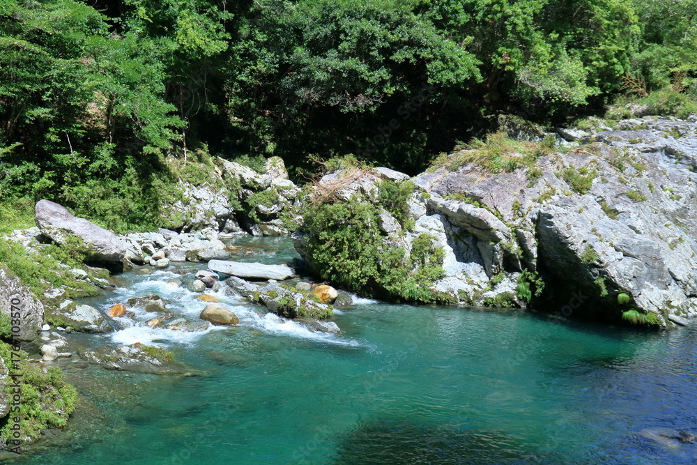 Fototapeta premium 汗見川 かめ岩のみずべ 夏の景観 (高知県 本山町)