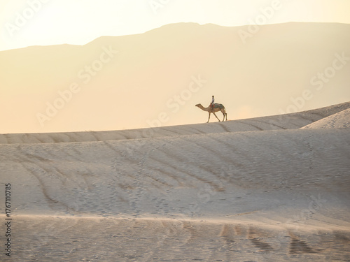 Camel with rider crossing bright desert dunes in soft golden light and warm atmosphere