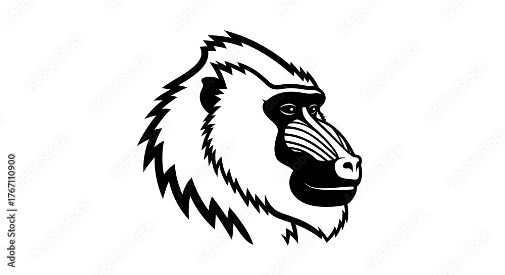Obraz premium Mandrill profile isolated monochrome illustration