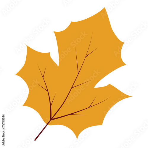 Autumn Leavs Illustration