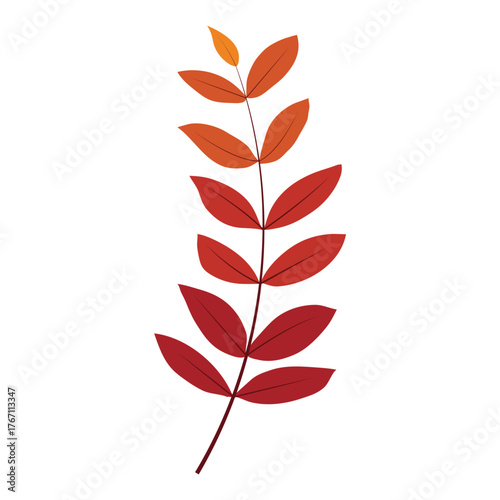Autumn Leavs Illustration