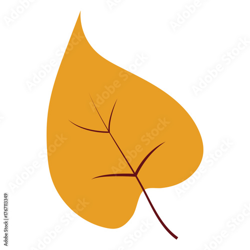 Autumn Leavs Illustration