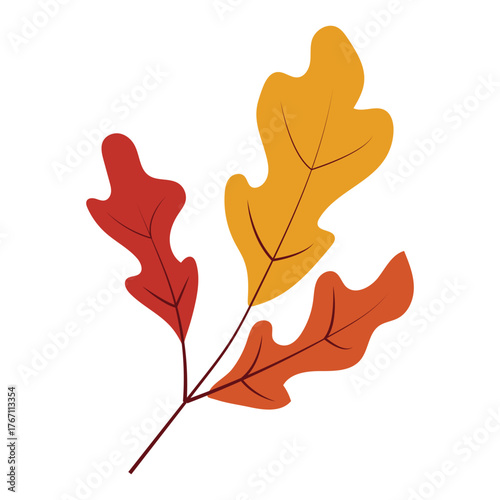 Autumn Leavs Illustration