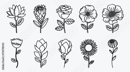 Elegant Flower Outlines Collection Beautiful Floral Designs for Creative Projects