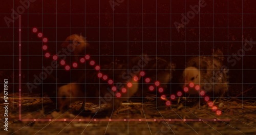 Red grid dotted line descending causing eggs cracking chicks hatching and walking plotting decline