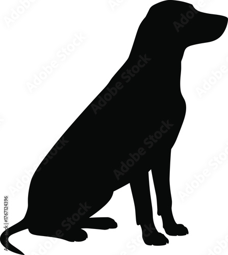 Black dog silhouette sitting, curled tail, relaxed posture, side view pet icon, minimal vector design, calm animal shape, loyalty, simplicity
