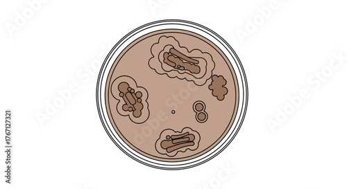 Microscopic bacterial colonies growing in a petri dish revealing diverse shapes and structures for scientific research and discovery