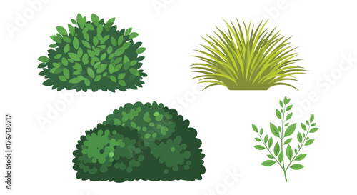 Illustration of various green bushes and foliage in a simple design