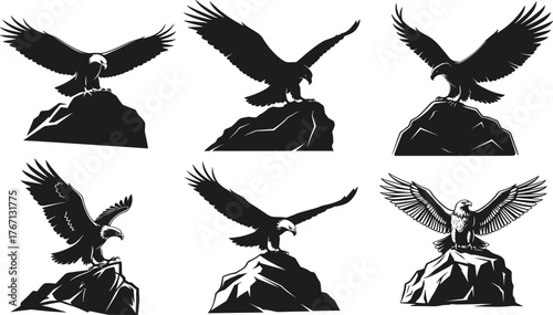 Majestic eagle perched on rocks in dynamic poses with spread wings, black and white vector illustration set for wildlife themesMajestic eagle perched on rocks 