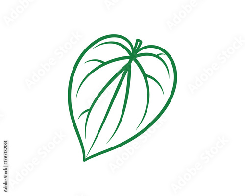 Green Betel Leaf Outline Drawing on Isolated White Background