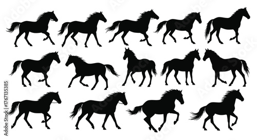 A collection of detailed black silhouettes depicting horses in various poses