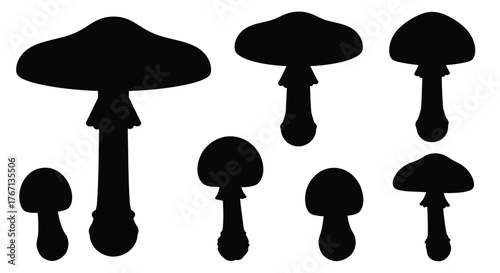 Black silhouette illustrations of various mushroom shapes and sizes displayed