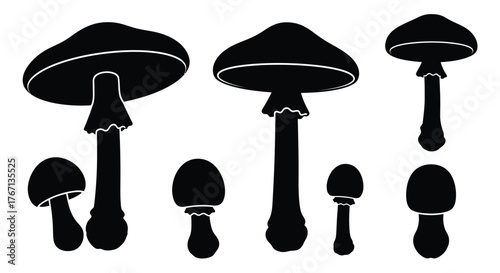 A collection of black silhouette mushrooms in varying shapes and sizes