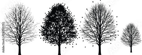 Seasonal tree silhouette vector showing winter, spring, summer, autumn foliage transitions for nature, environment, climate change and education themes