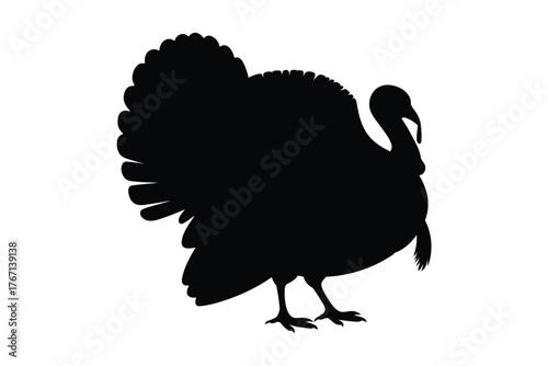 Silhouette of a proud turkey with fanned tail feathers