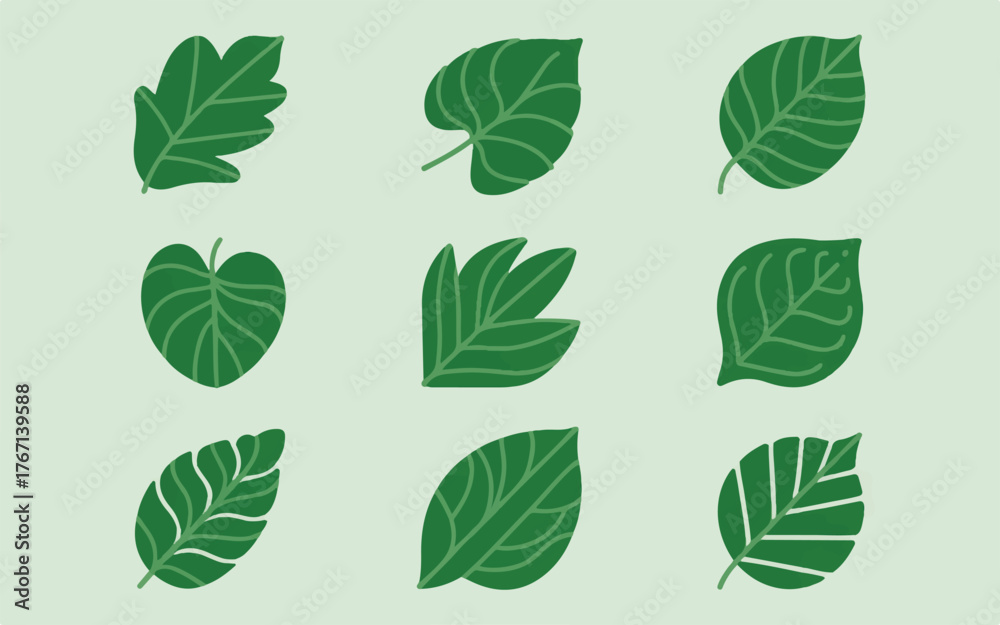 Fototapeta premium Nine Different Green Leaf Illustrations on a Light Green Background leaves nature