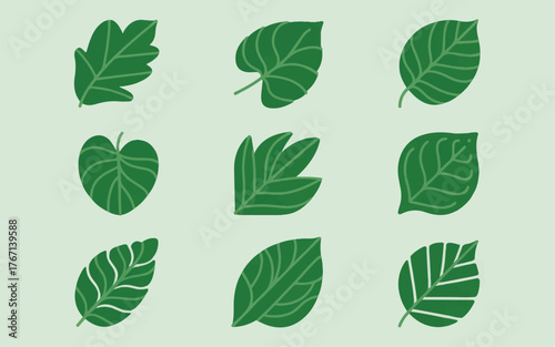Nine Different Green Leaf Illustrations on a Light Green Background leaves nature