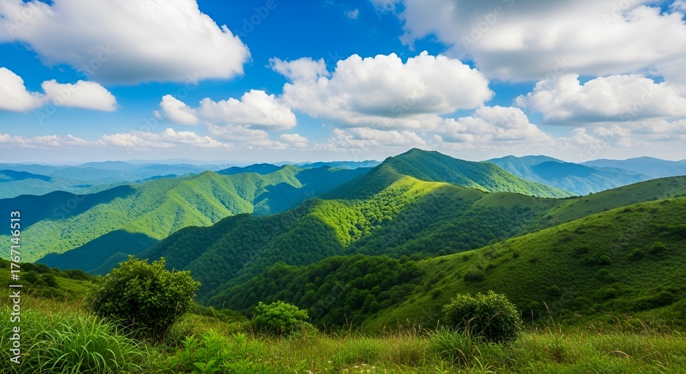 Obraz premium Lush Rolling Appalachian Mountains Under a Bright Blue Sky with Cumulus Clouds