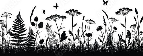Black silhouette of meadow grass wildflowers ferns butterflies and birds nature
