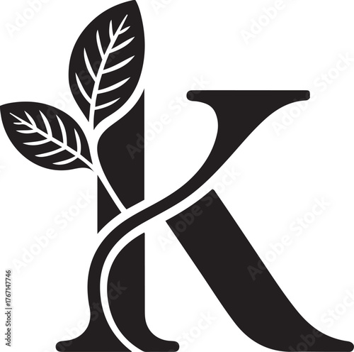 Elegant letter k monogram with natural leaf embellishment for branding and design isolated on transparent background