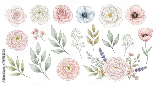 Watercolor floral arrangement with ranunculus, anemones, poppies, leaves and small flowers.