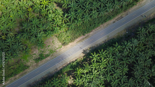 Car traveling on a curved country road surrounded by green trees and blue sky