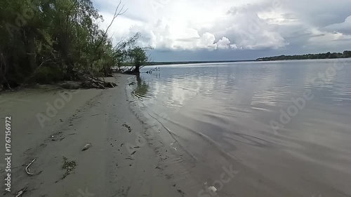 Bare bushes and grass on the gentle sandy bank of a wide, fast-flowing river on a cloudy summer day. The Ob River, Siberia, Russia.