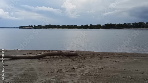 A dry crooked log on the sandy bank of a wide river with a view of the opposite bank under a cloudy summer sky. Ob River, Siberia, Russia.