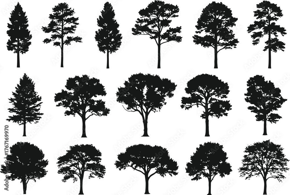 Fototapeta premium Collection of diverse tree silhouettes in black and white isolated on a white background for design elements