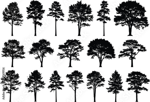 Collection of diverse deciduous and coniferous tree silhouettes in black and white representing a forest or park landscape