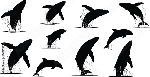 Whale and dolphin silhouettes jumping from ocean water, marine wildlife illustration, sea animals breaching splash art, nature conservation concept