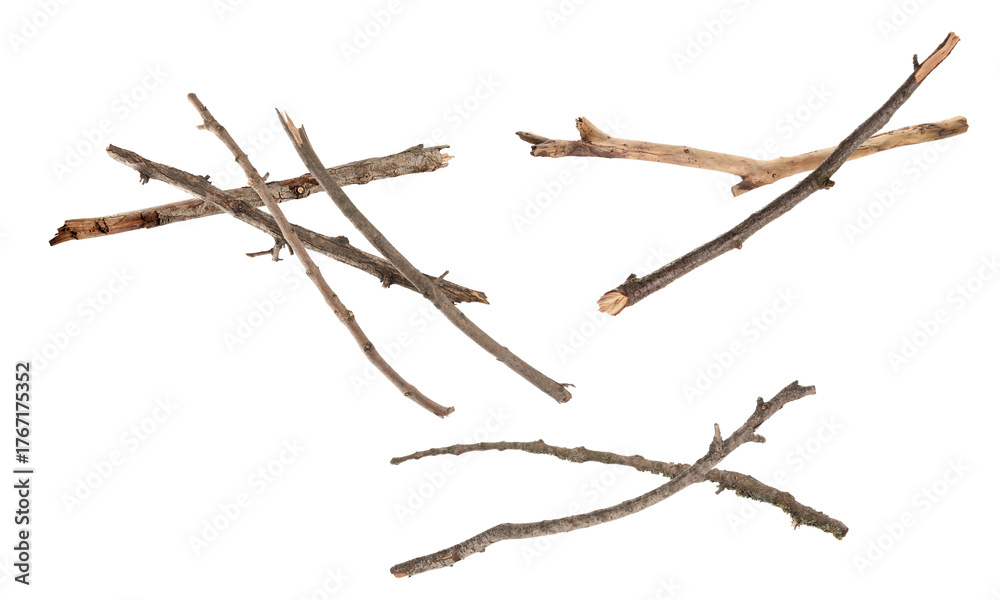 Φωτογραφία three distinct clusters of naturally dried, weathered wooden sticks and broken branches photographed against a pure transparent background