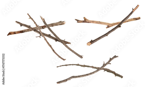 three distinct clusters of naturally dried, weathered wooden sticks and broken branches photographed against a pure transparent background.