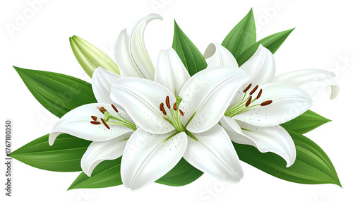 Close-up of several white lily blooms with vibrant green leaves, isolated on white