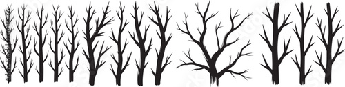 Silhouette set of bare winter trees in black and white, leafless forest illustration showing natural branches and trunks, perfect for seasonal artwork, landscape design, Halloween, and nature projects