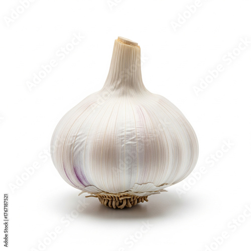 Garlic Bulb Still Life: Commercial Stock Photo on White