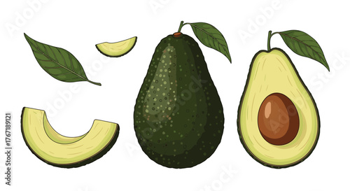 Illustration of an avocado with leaves and slices on a white background.