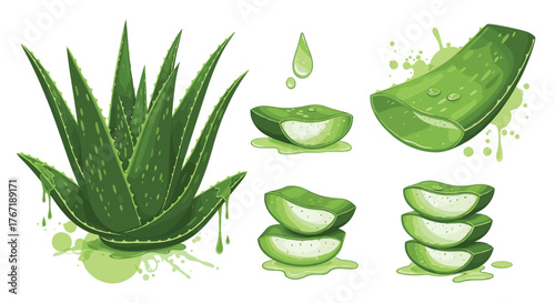 Various depictions of fresh aloe vera, including a plant, cut leaves, slices, and dripping gel, highlighting its natural and beneficial properties.